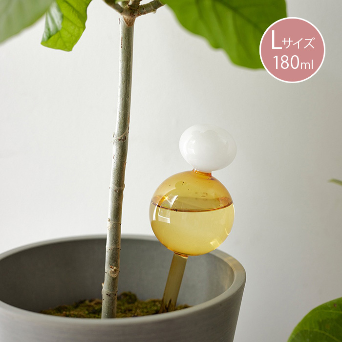 shesay ガラスディスペンサー Lサイズ 180ml