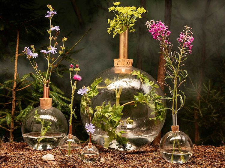 花瓶 おしゃれ 一輪挿し フラワーベース 北欧 ガラス グラシリウム スカンジナビアフォーム Glasilium Vase Sサイズ Scandinaviaform 北欧デザイン プレゼント ギフト 北欧生地と雑貨のお店 Cortina 花瓶 おしゃれ 一輪挿し フラワーベース 北欧 ガラス グラシリウム スカンジナビアフォーム Glasilium Vase Sサイズ Scandinaviaform 北欧デザイン プレゼント ギフト 北欧生地と雑貨のお店 Cortina
